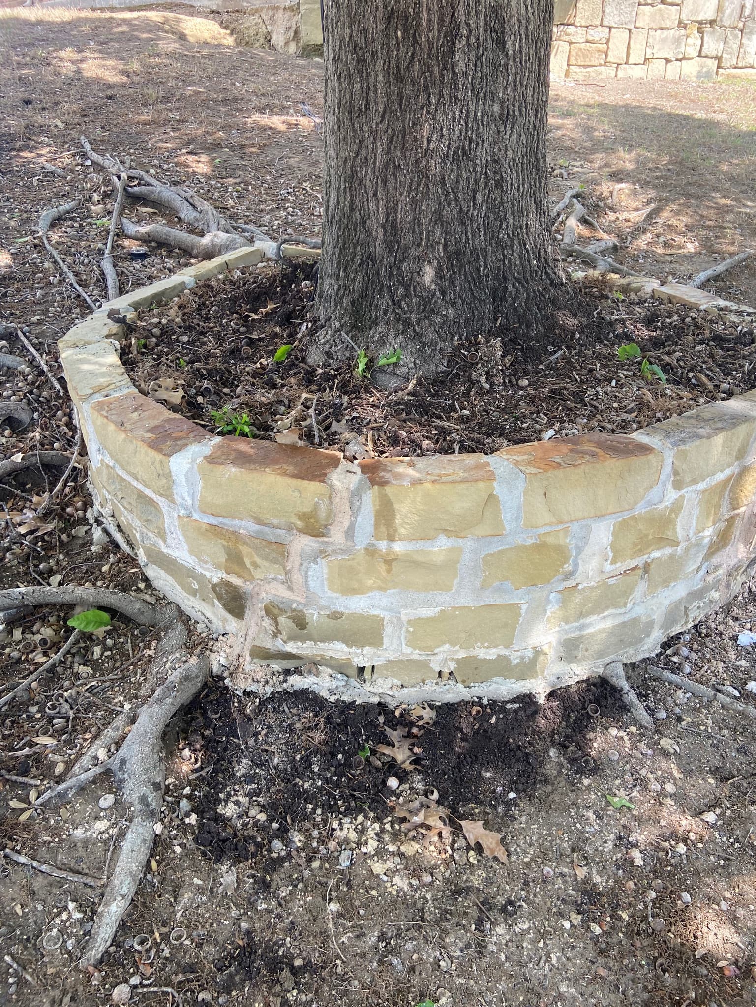 Solutions to Masonry Problems in Rockwall, TX